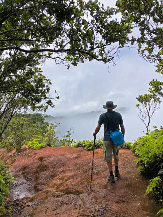 hawaii what to pack view of man standing under tree near cliff with clouds in distance