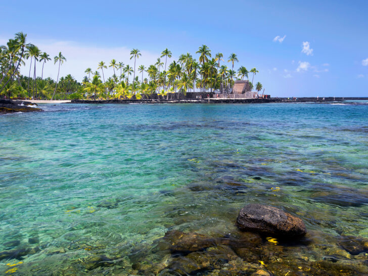 what to pack for hawaii blue ocean water with rocks and shore in distance with palm trees big island hawaii