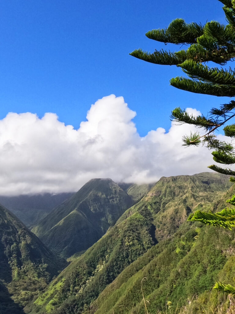 mountains in hawaii covered in lush greenery with tree up close white puffy clouds