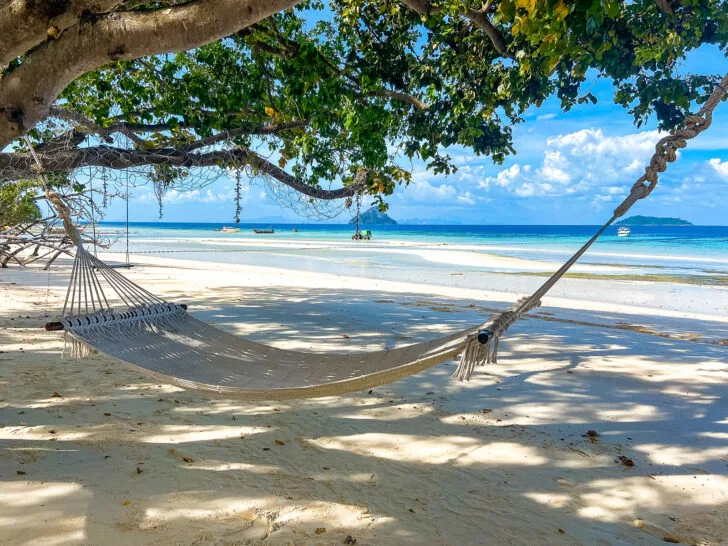things to do in phi phi view of hammock on beach under tree with blue ocean in distance