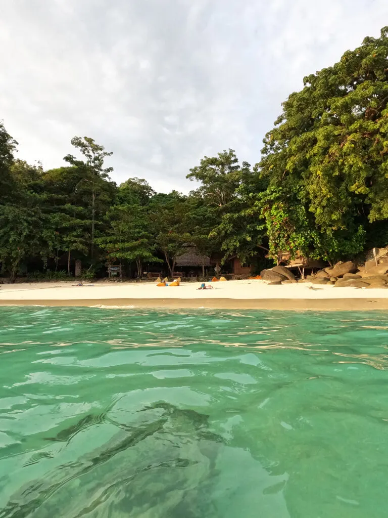 green water looking at beach and trees during sunset