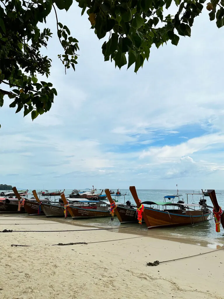 long tail boats on beach with leaves framing image