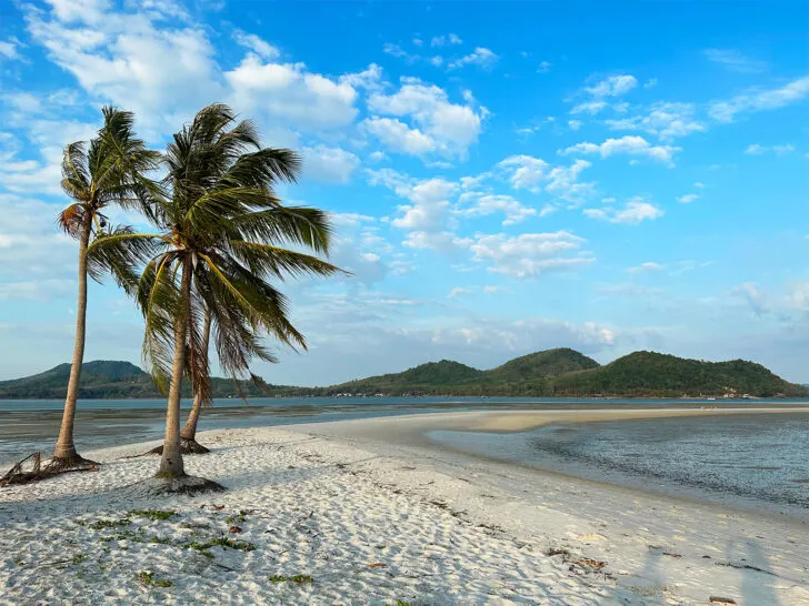 palm trees on white sand with island in distance on blue sky