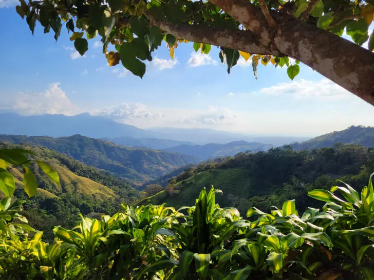 Costa Rica itinerary view of mountains and lush tropical foliage under tree