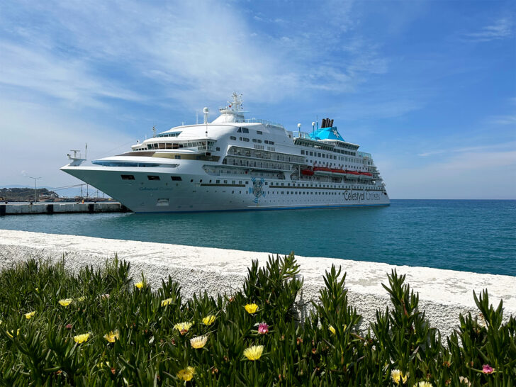 Celestyal Cruises Review view of ship at port with flowers in foreground