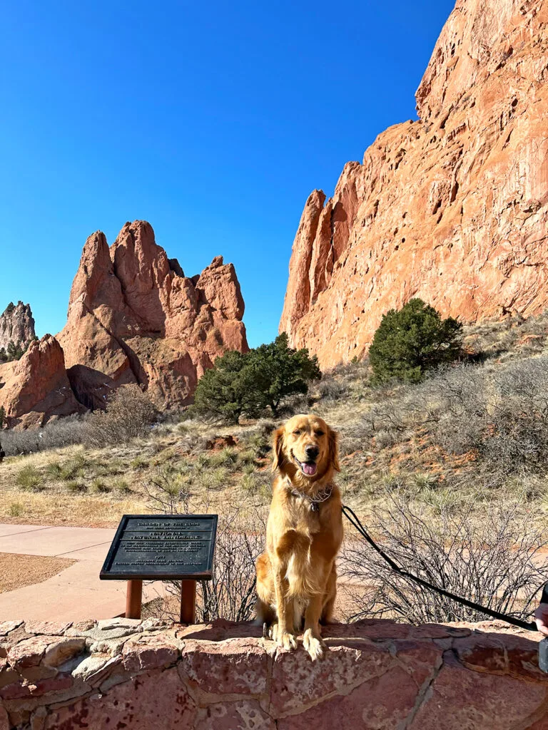 dog sitting on brick wall in front of rock formations at Garden of the Gods