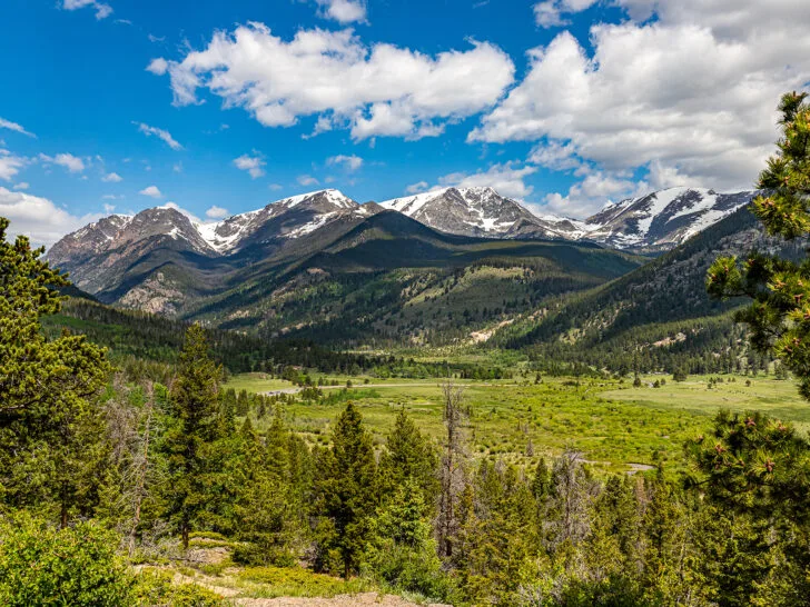 view of the Rocky Mountains with field trees and snow capped mountain peaks