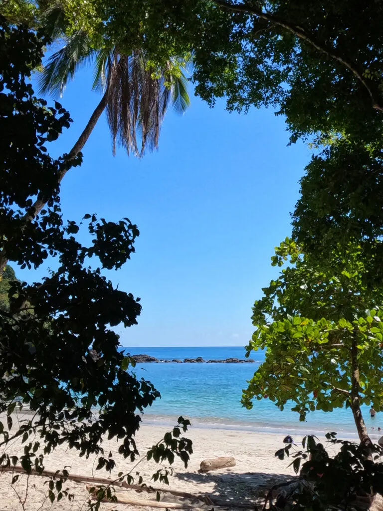 peeking through the trees ocean view costa rica itinerary