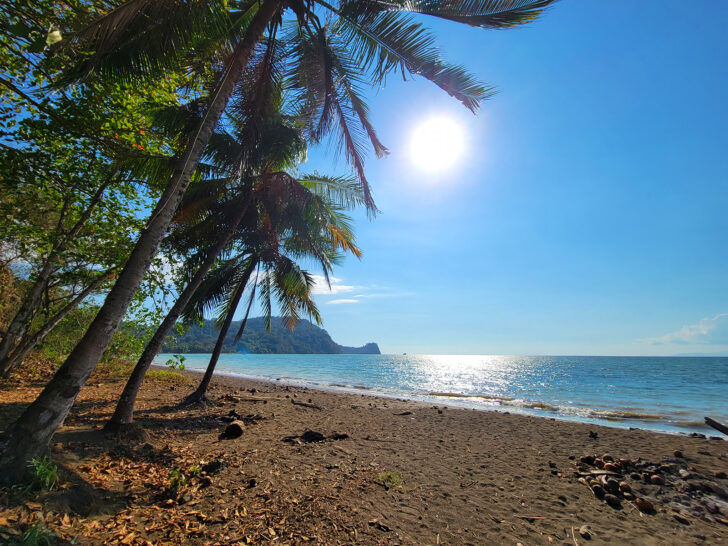 7 days in Costa Rica with a view of a dark sand beach palm trees and ocean with sun setting