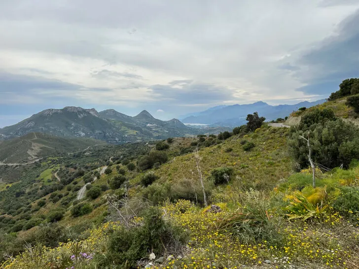 greek island cruise view of Crete greece with wildflowers and mountains in distance