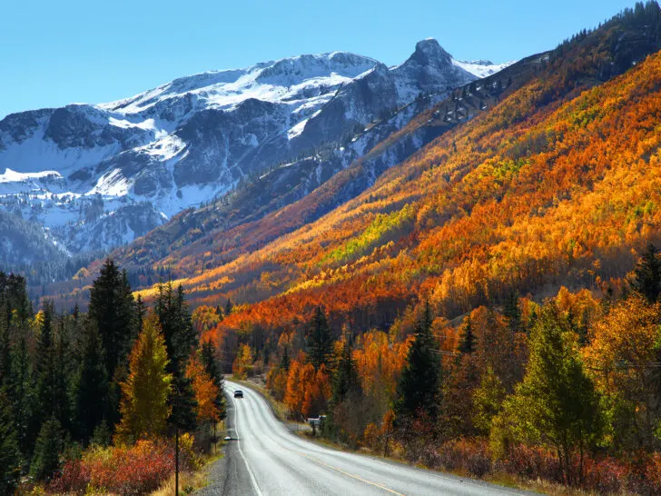 colorado itinerary 7 days view of road through colorful fall trees and mountain in distance