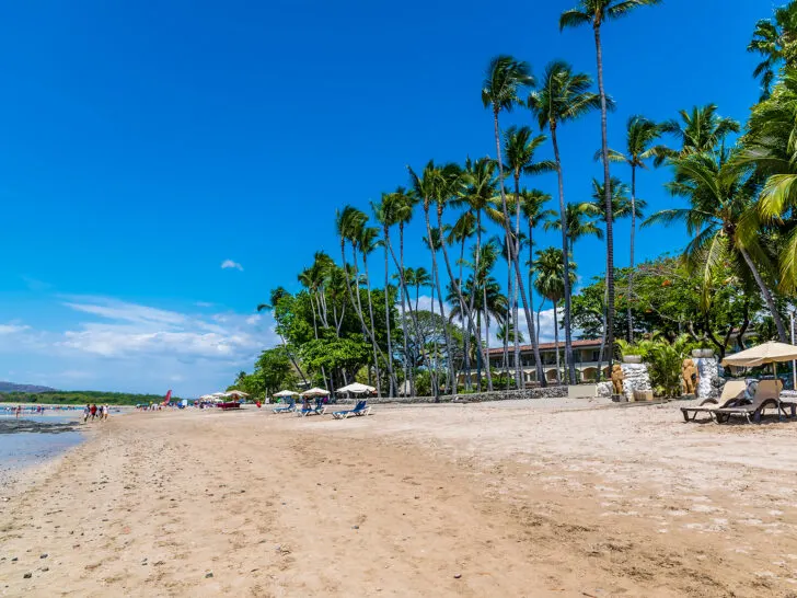 tan sand beach with palm trees in Tamarindo best Costa Rica itinerary