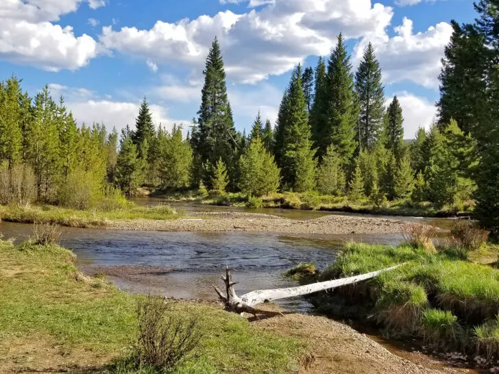 colorado road trip itinerary view of river and trees in Rocky Mountain national park