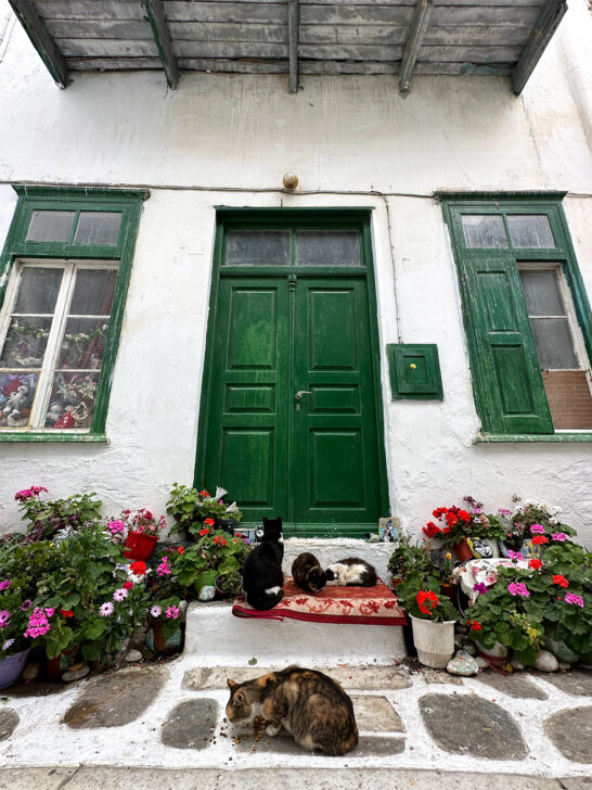 adorable home with green and white with flowers and cats on doorstep