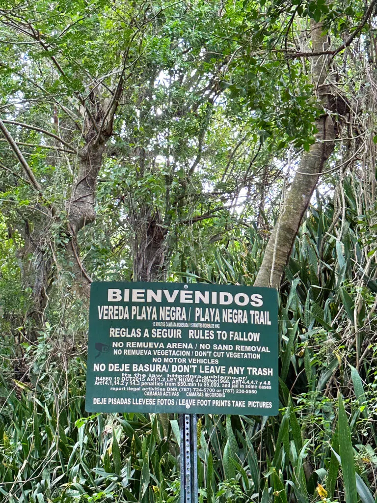 Black Sand Beach Vieques sign that shows rules to follow and trees behind it