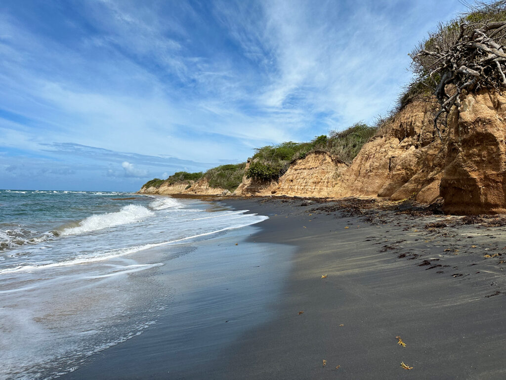 STUNNING Black Sand Beach Vieques: What to Know Before You Go