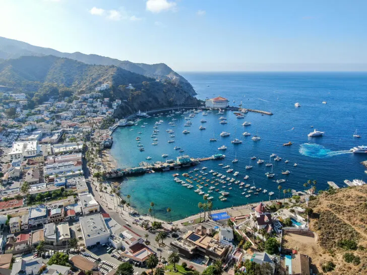 Catalina island view of port and city with shoreline