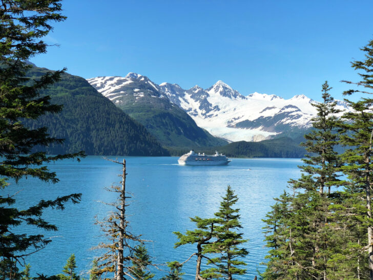 Alaska cruise ship on ocean cove with trees in foreground and snowy mountain peaks behind