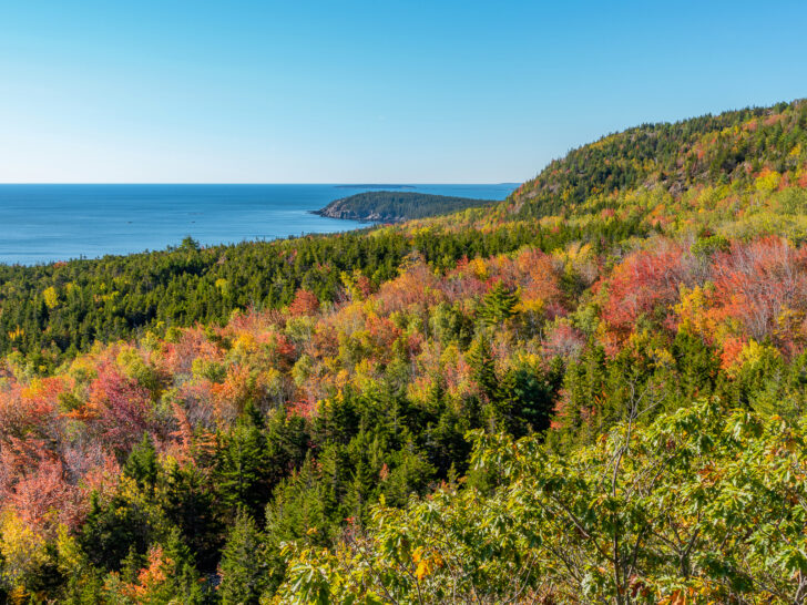 best places to visit in October USA view of multicolored fall foliage with ocean in distance