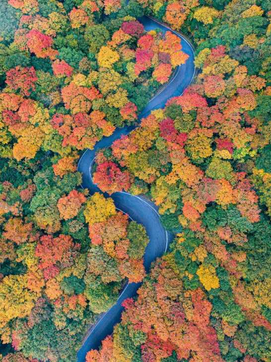 winding road with red yellow orange and green trees best places t visit in the US in October