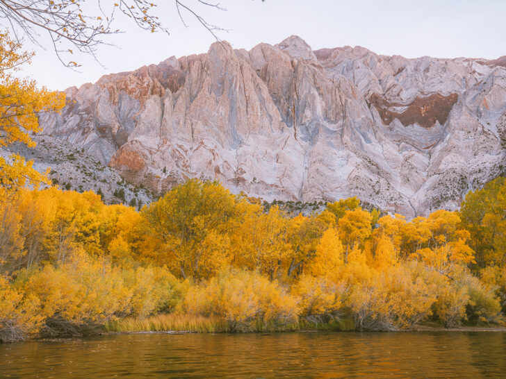 mammoth lakes california in the fall view of a lake with bright orange tree leaves and white mountain behind