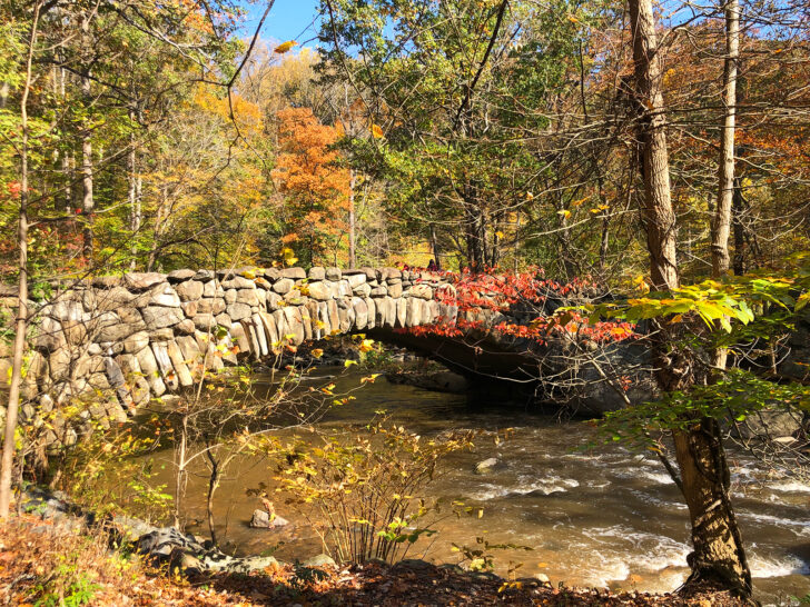 stone bridge with fall foliage over river