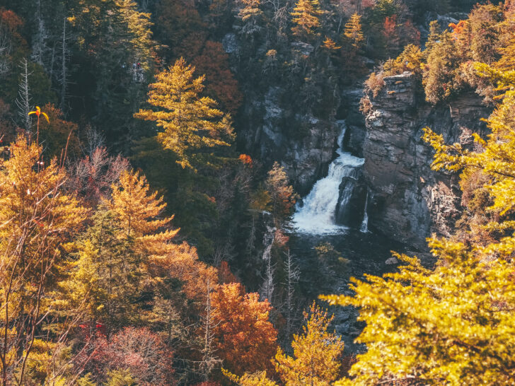 beautiful waterfall surrounded by orange and yellow fall foliage in Asheville NC