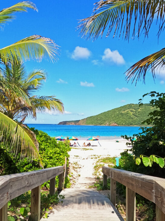 culebra vs vieques beach entrance with trees beach umbrellas and water in distance