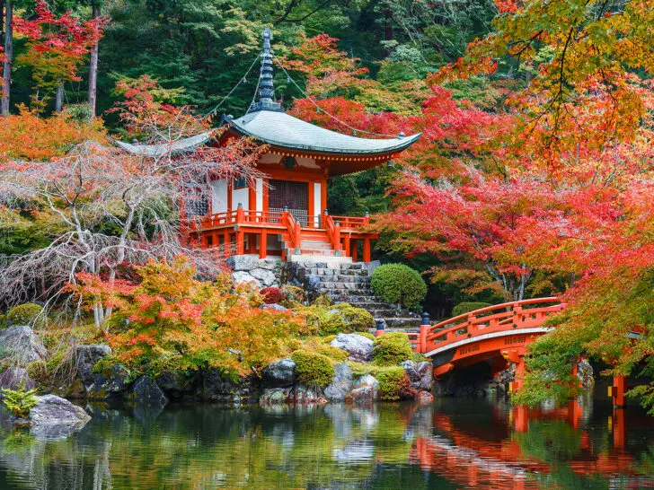 vibrant fall foliage with asian architecture on pond