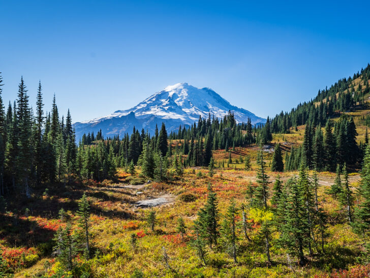mount rainier in autumn with large mountain trees and fall foliage best places to visit in the US in October