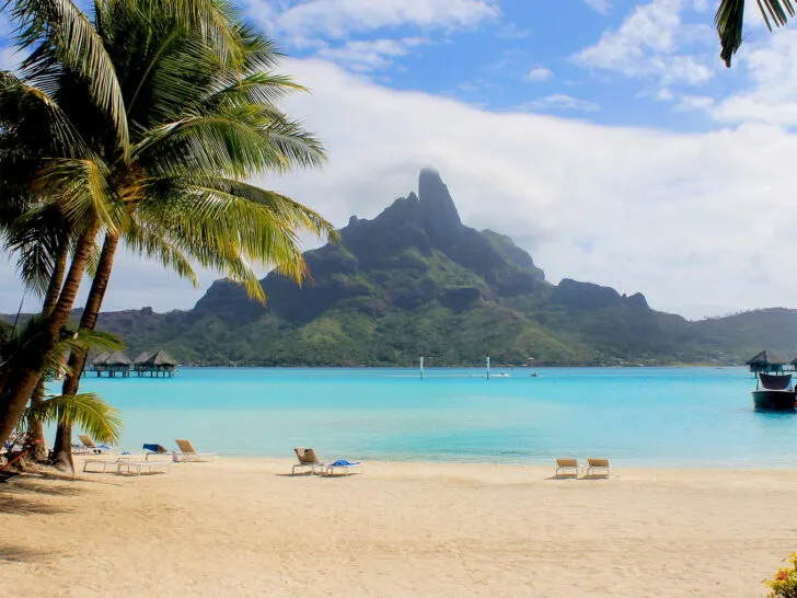 beautiful beach with palm tree in French Polynesia blue water and mountain island