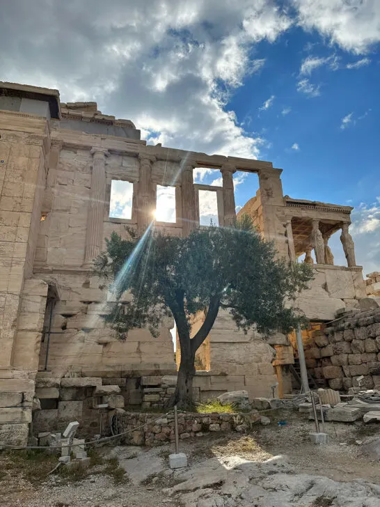 olive tree at acropolis with sun through old structure and clouds in sky 2 days in Athens