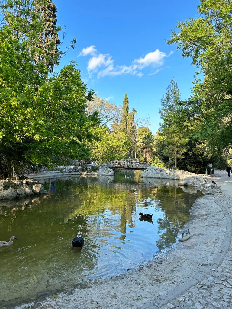 pond in national gardens with bridge and ducks and trees
