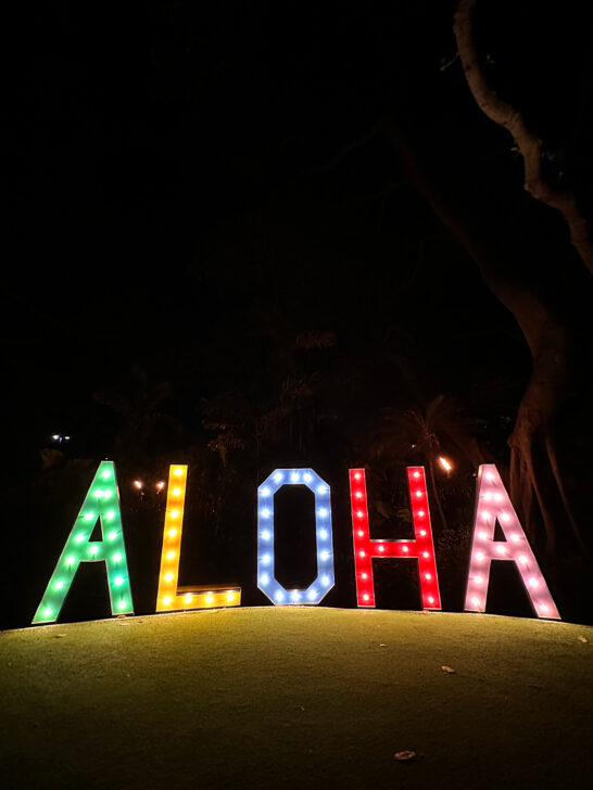 neon aloha sign in the dark