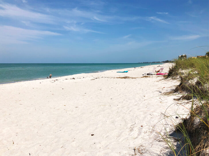 Anna Maria island things to do view of white sand beach and sand dunes