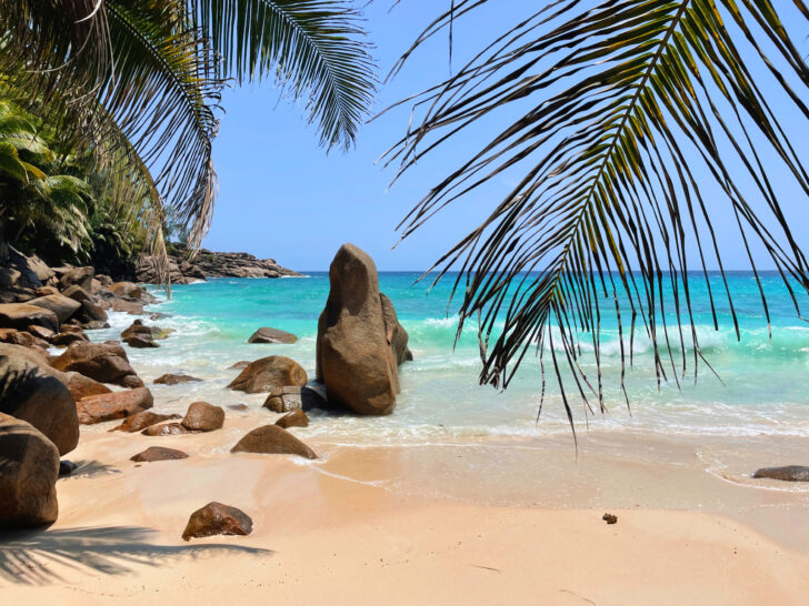 best February destinations view of beach with rounded rocks and palm leaves