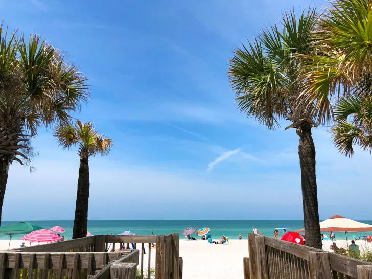 view of entrance to beach with palm trees and umbrellas