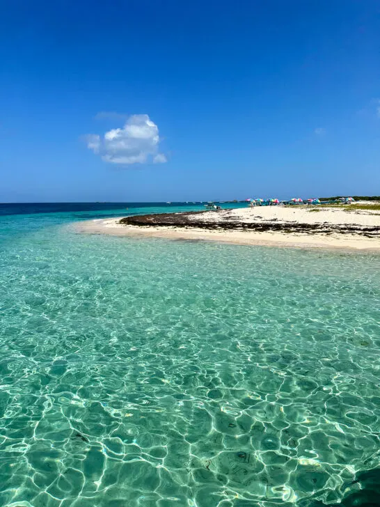 teal water looking at coast with some seweed