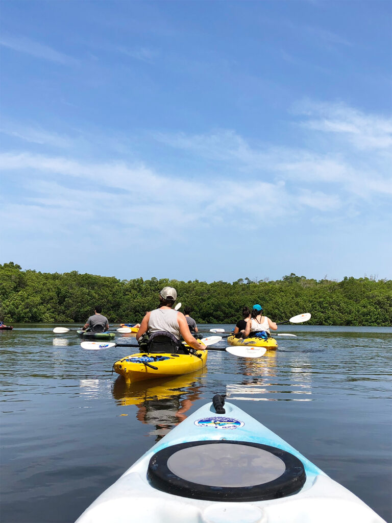 kayakers on tour things to do in Anna Maria Island Florida