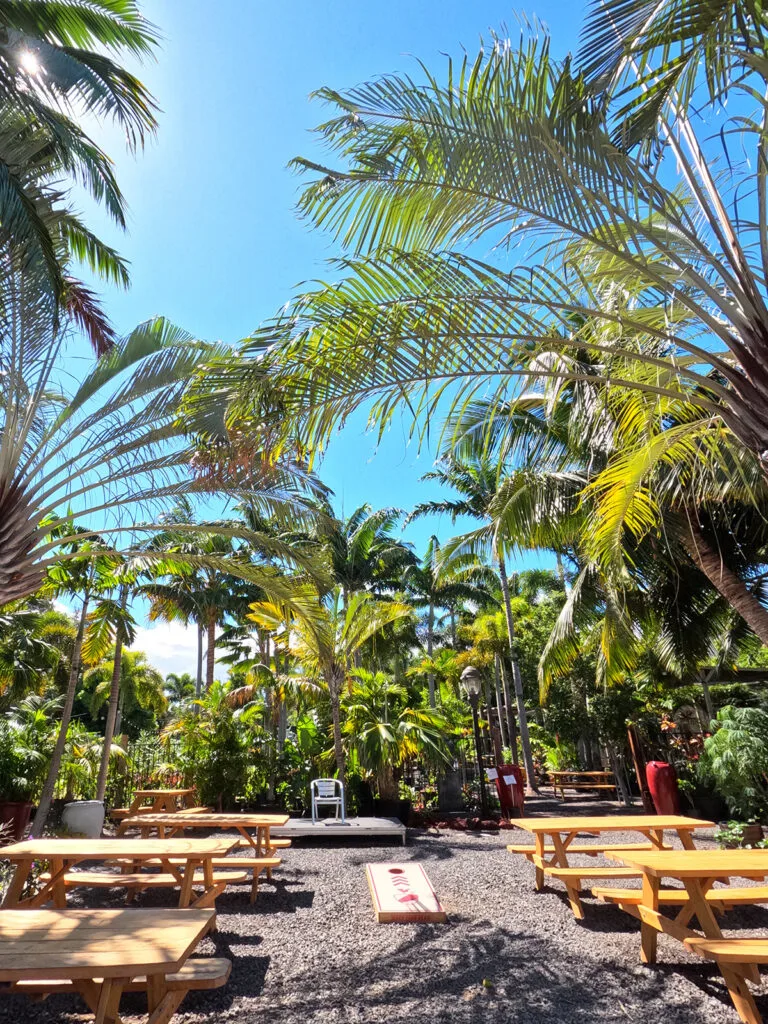 what to do in Kihei view of picnic tables and palm trees what to do in Kihei