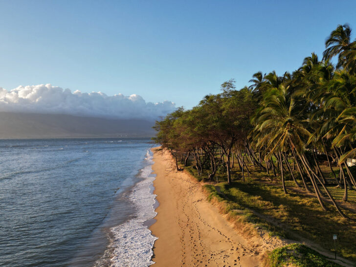 what to do in Kihei Maui view of tan sand beach with palm trees at dusk