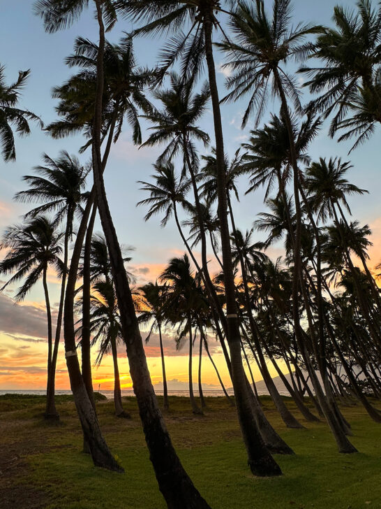 things to do in Kihei view of palm trees with sunset in distance