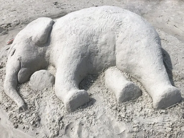 elephant carved into sand