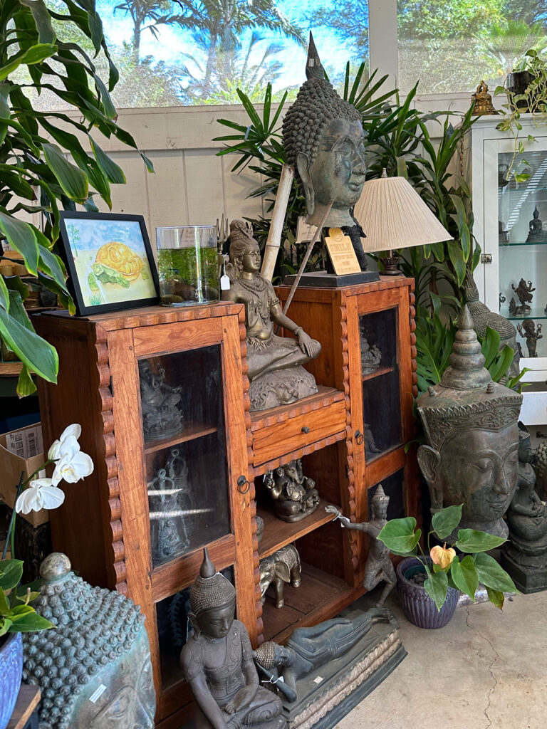 view of cultural statues with plants in store