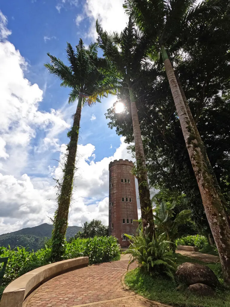 three palm trees and lookout tower in distance