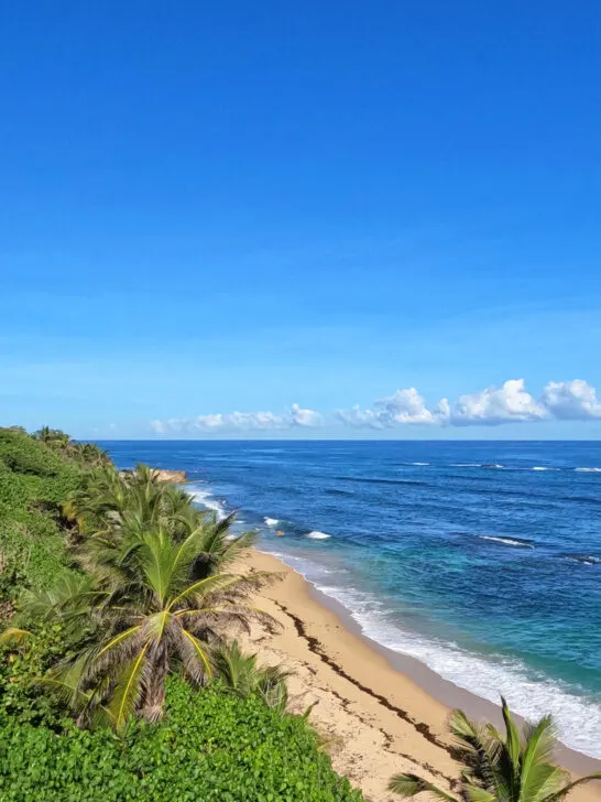 view of old San Juan beaches tan sand palm trees blue Caribbean water