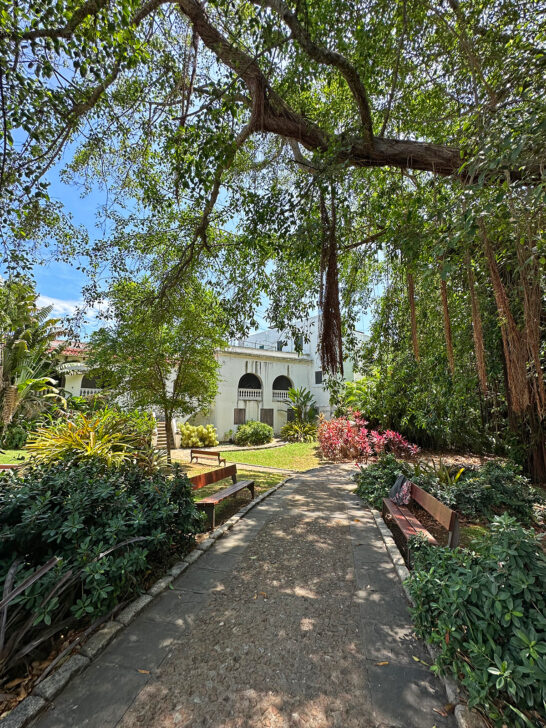 colorful gardens at casa blanca museum with large tree bushes and white building in distance
