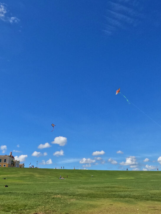kites flying above green grassy field on sunny day