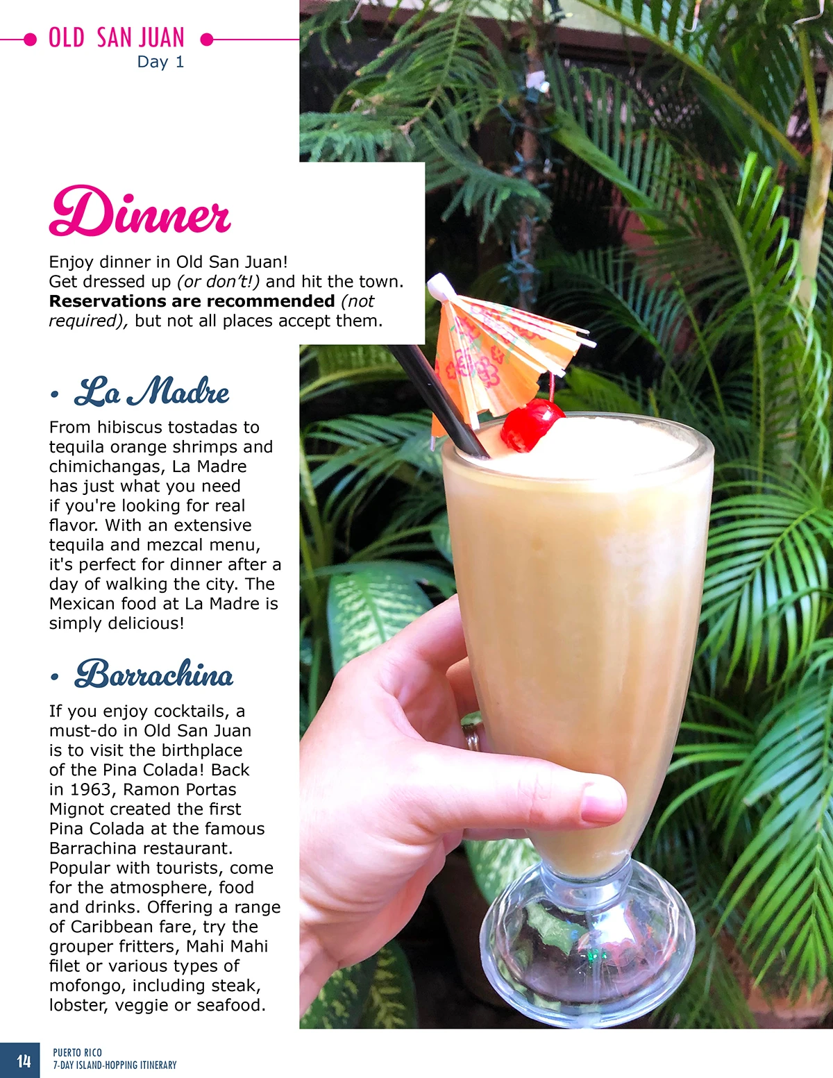 photo of travel guide with dinner at top and lots of text with hand holding pina colada