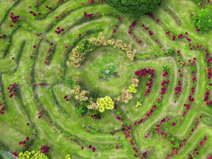 view of garden looking straight down with green grass, pink flowers and trees creating maze